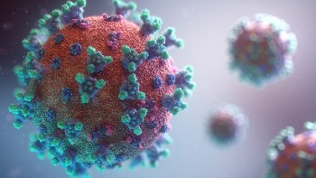 Coronavirus Color Photo